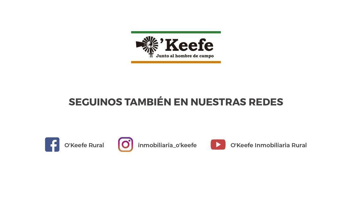 Oportunidad Venta de 2 Fincas Aledañas en Cañada Seca, San Rafael, Mendoza. Frutihorticola, Forra 5