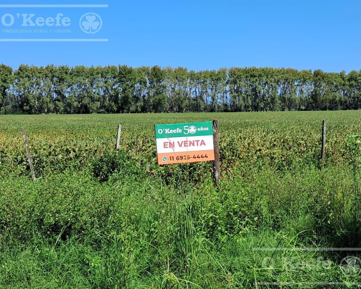 Foto de Campo en venta de 44 has Agricolas en Baradero, imagen 5