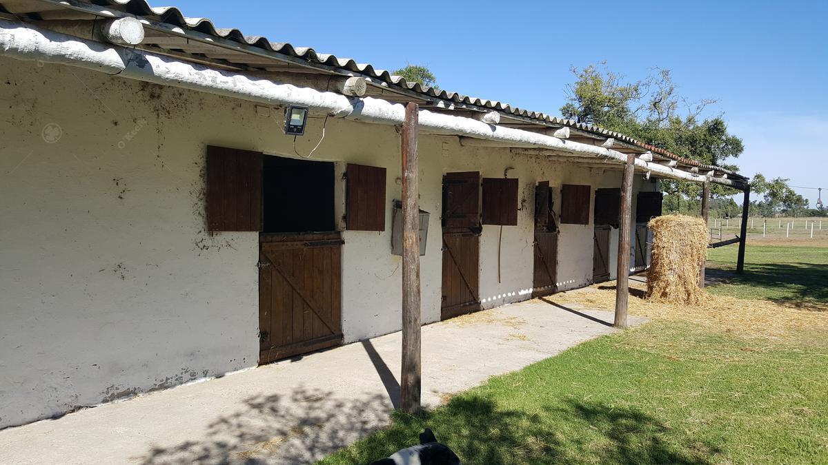 5,5 Has Chacra en Venta en Chascomus - Ideal Cria de Caballos. Importantes Mejoras - Retasado! 1