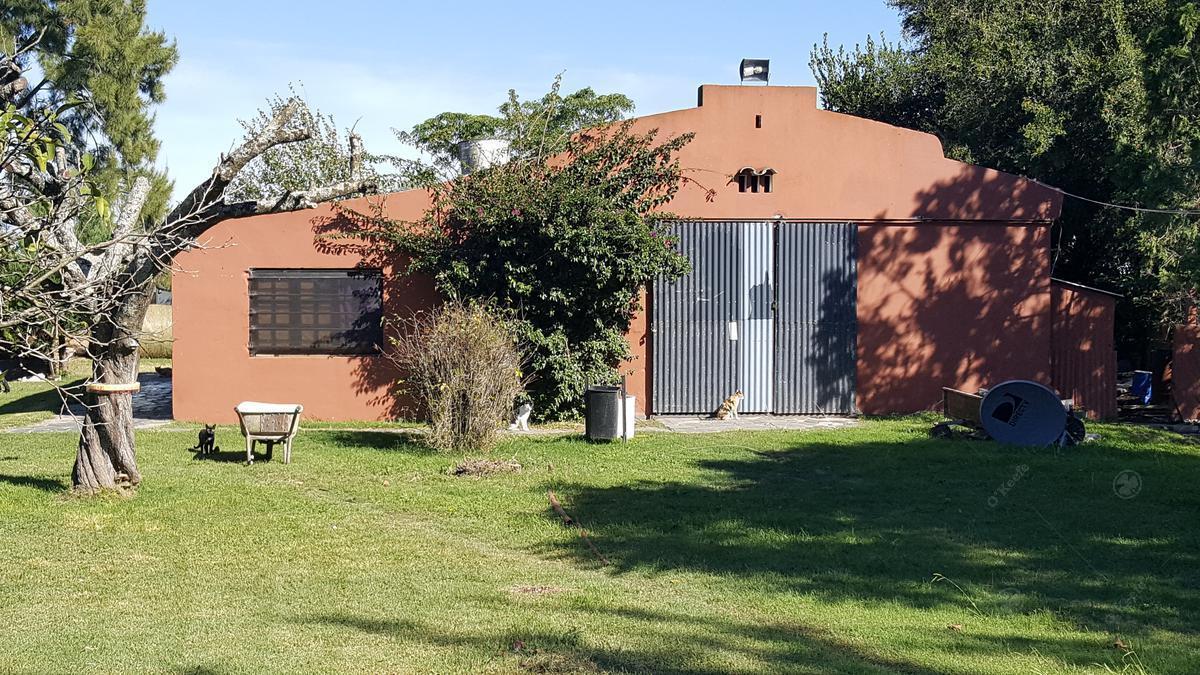 5,5 Has Chacra en Venta en Chascomus - Ideal Cria de Caballos. Importantes Mejoras - Retasado! 3