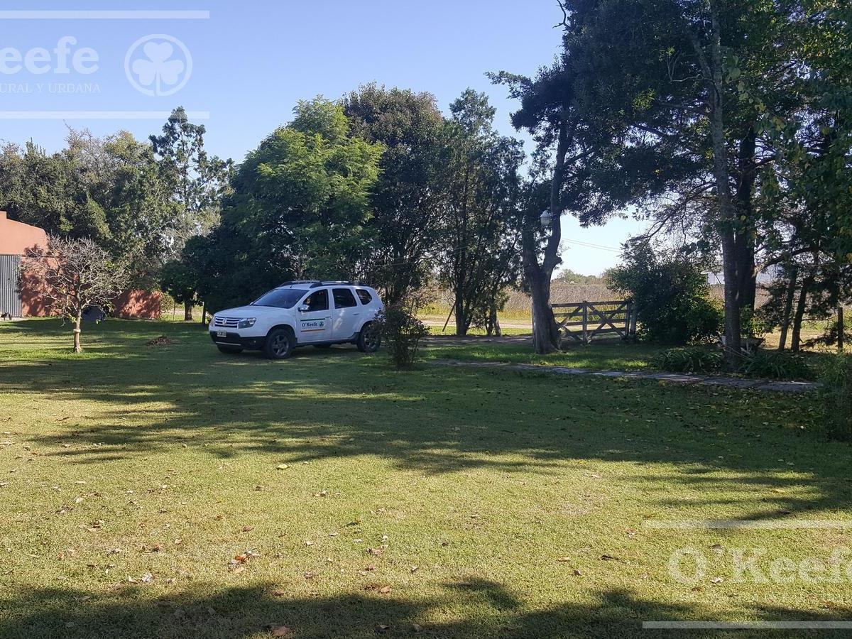 5,5 Has Chacra en Venta en Chascomus - Ideal Cria de Caballos. Importantes Mejoras - Retasado! 5