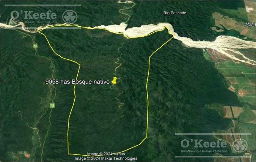 Venta 9058 Has Salta Bosques nativos Ideal Bonos verdes