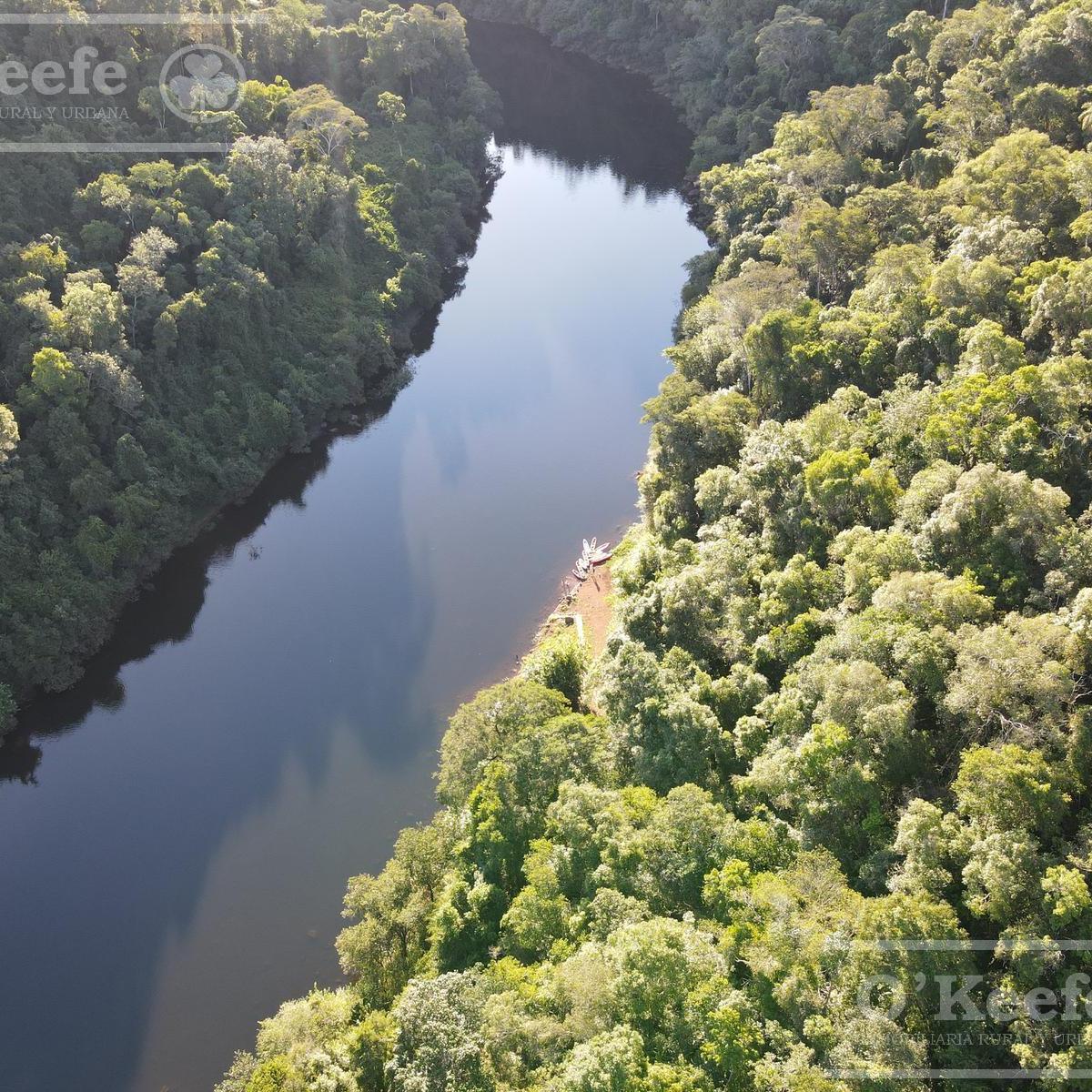 Foto de Venta 9058 Has Salta Bosques nativos Ideal Bonos verdes, imagen 5