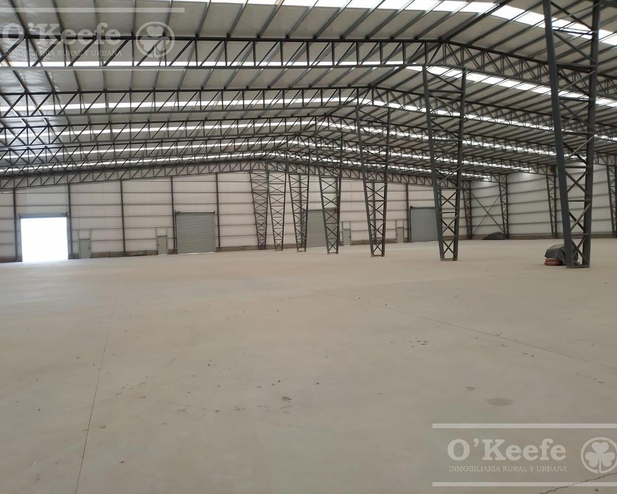 Foto de Galpón en venta en Parque Industrial San Vicente - Invierta en capital, imagen 4