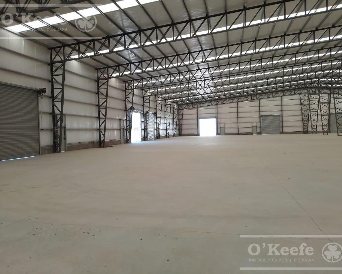 Galpón en venta en Parque Industrial San Vicente - Invierta en capital de trabajo (Modulable)