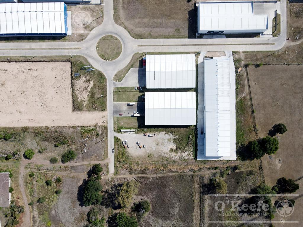 Galpon Industrial en Alquiler y Venta - Pitec 1 3