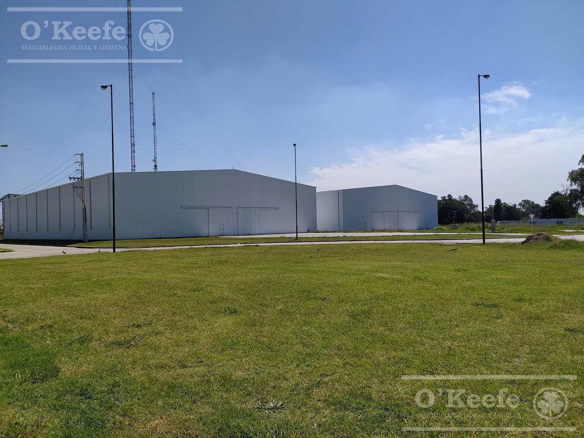 Galpon Industrial en Alquiler y Venta - Pitec 1 2
