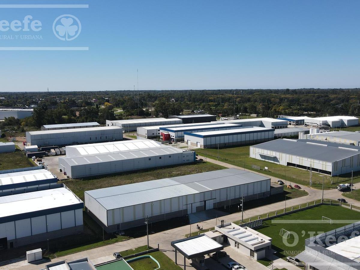 Deposito en Parque Industrial en Venta 1500 m² Florencio Varela Zona Sur 4