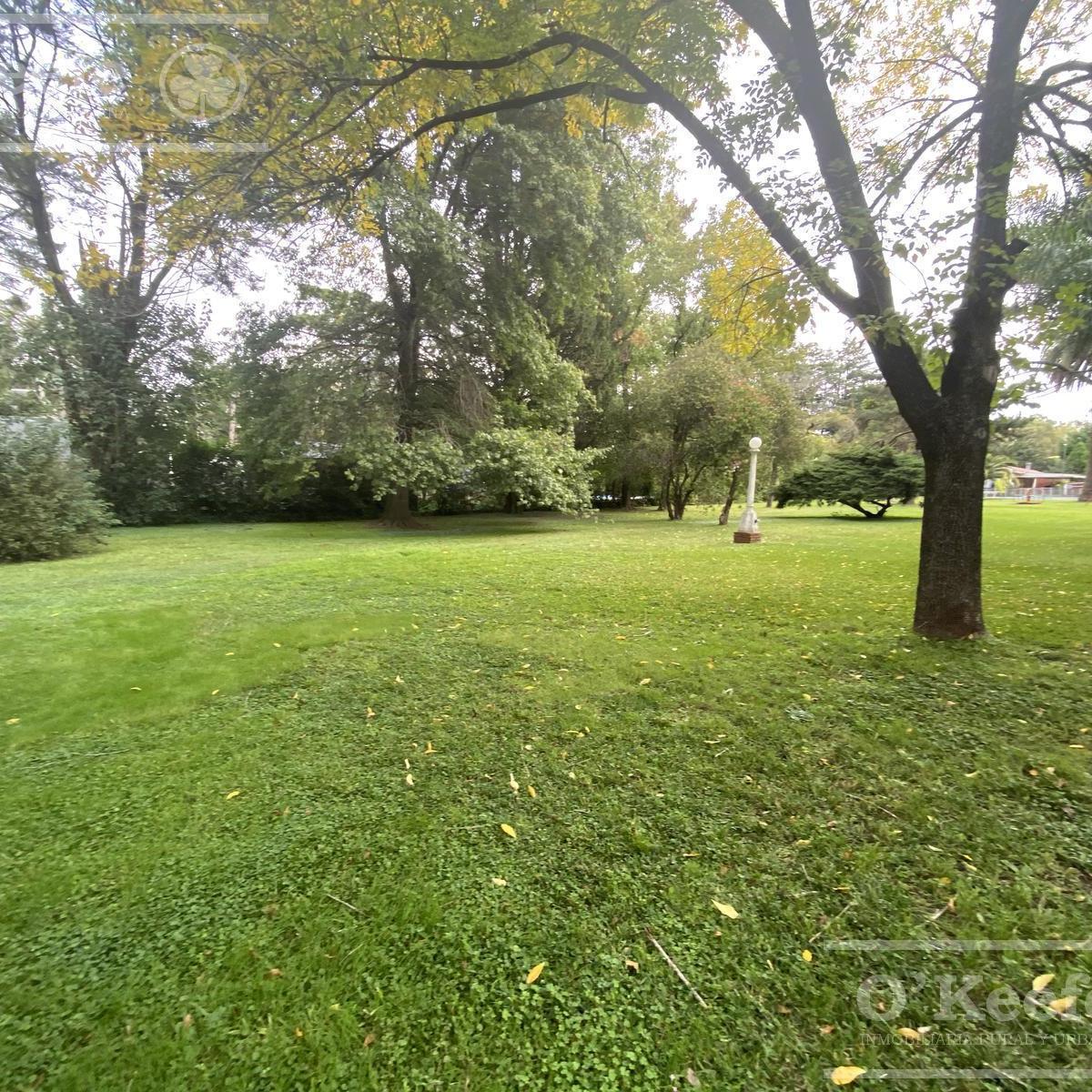 CASA QUINTA EN VENTA EN EL PATO SOBRE LOTE DE 6640 M2 NO ALQUILER