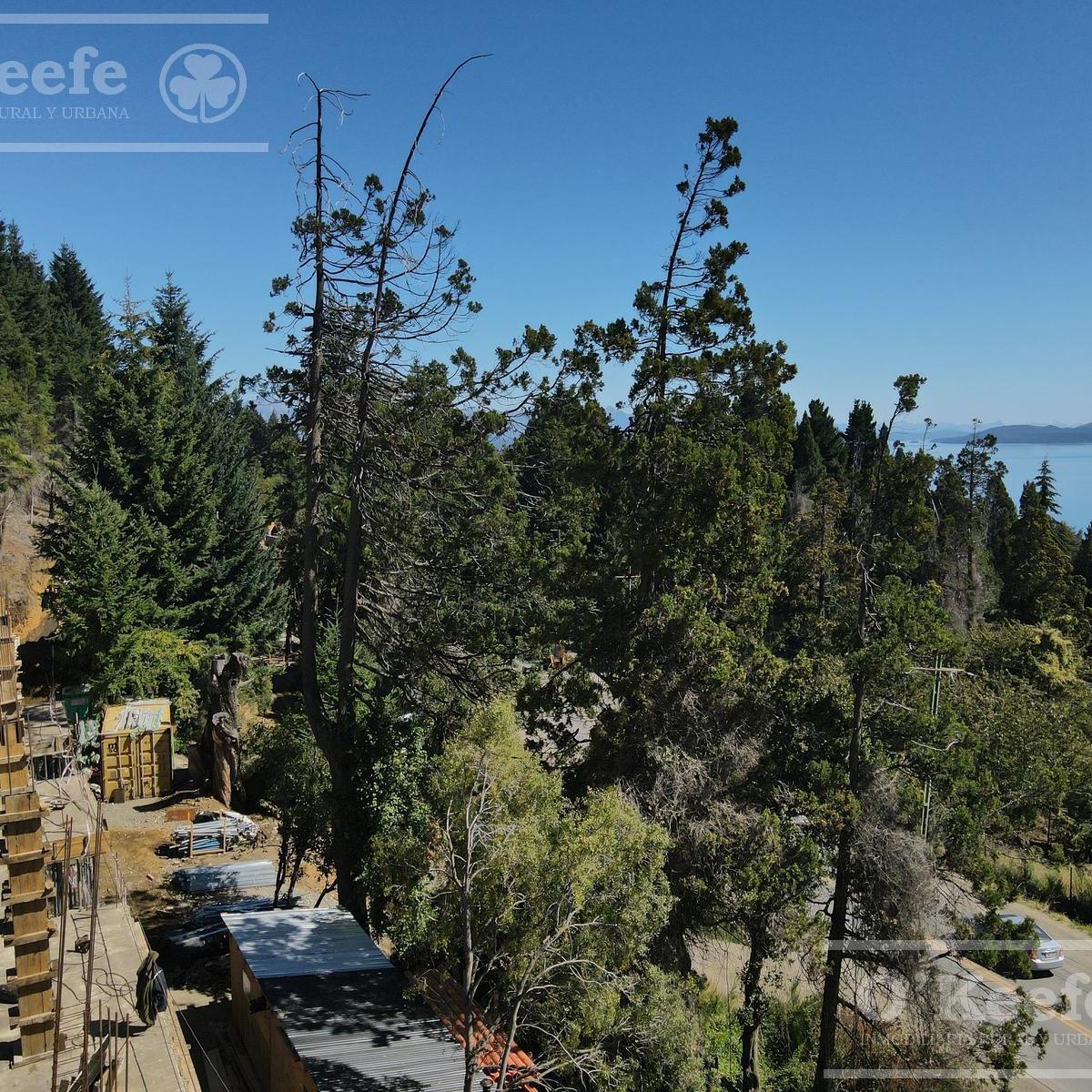 Departamento en Venta 4 Ambientes Km1 Av Pioneros - San Carlos de Bariloche 2