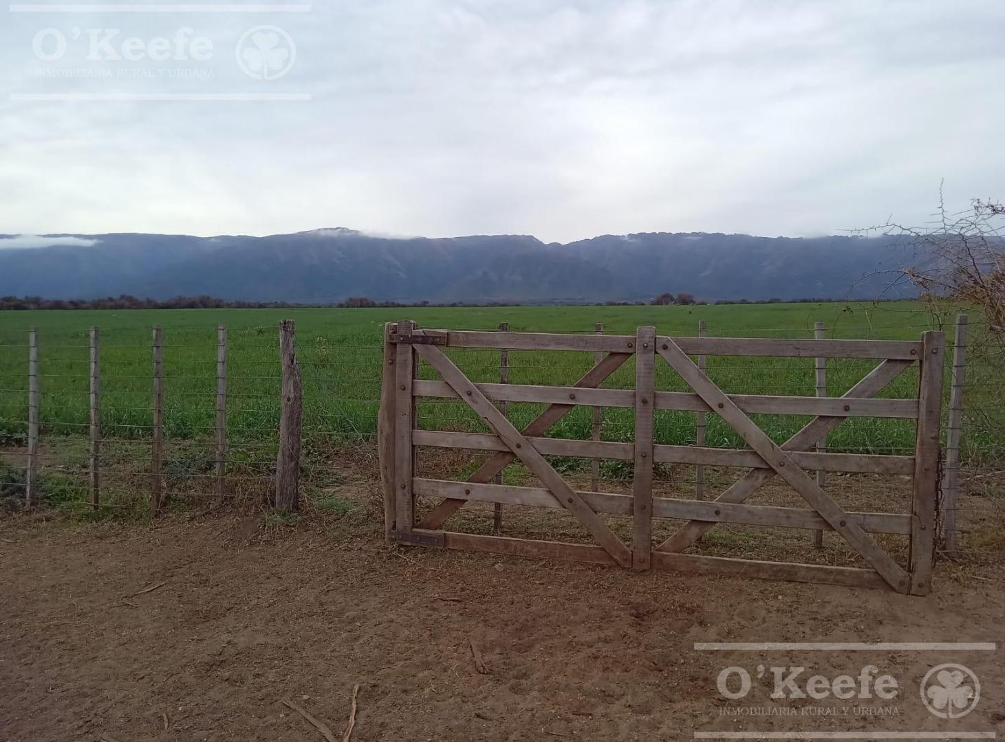 Venta Excelente Campo Agricola- Ganadero  de 781 has, Cortaderas, San Luis- Financiamiento