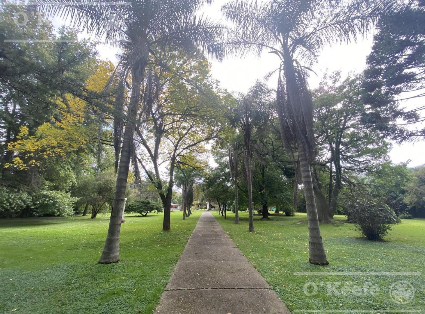 Foto de CASA QUINTA EN VENTA EN EL PATO SOBRE LOTE DE 6640 M2 NO ALQUILER, imagen 3