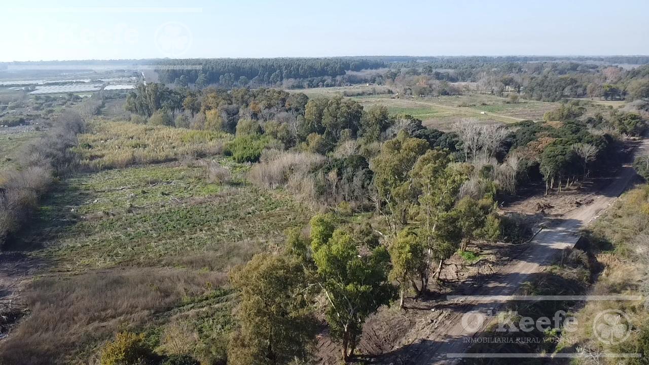 Foto de Lote en Pozo Barrio Tierra de Robles El Pato Berazategui, imagen 3