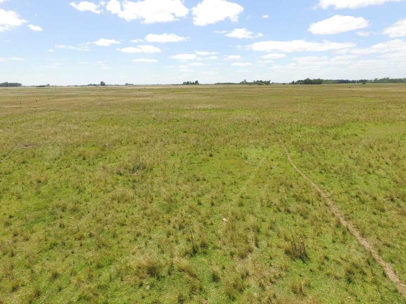 450 Has Magdalena - Campo en Venta a metros de Ruta  36!!!