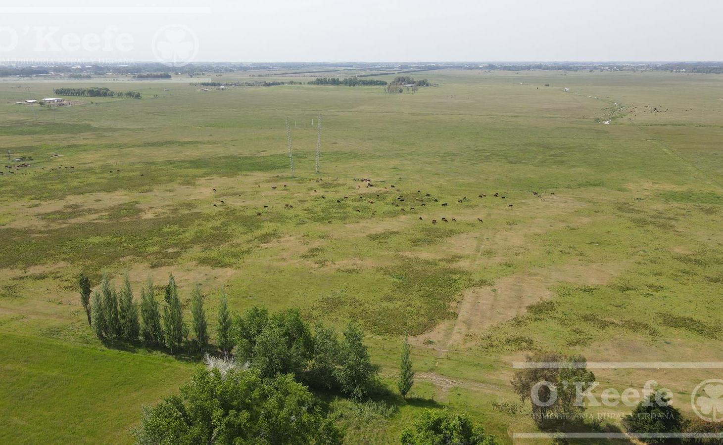 Foto de CAMPO 126 HAS CERCA DE RUTA 215 - PRODUCTIVO Y DISFRUTE - LA PLATA, imagen 2