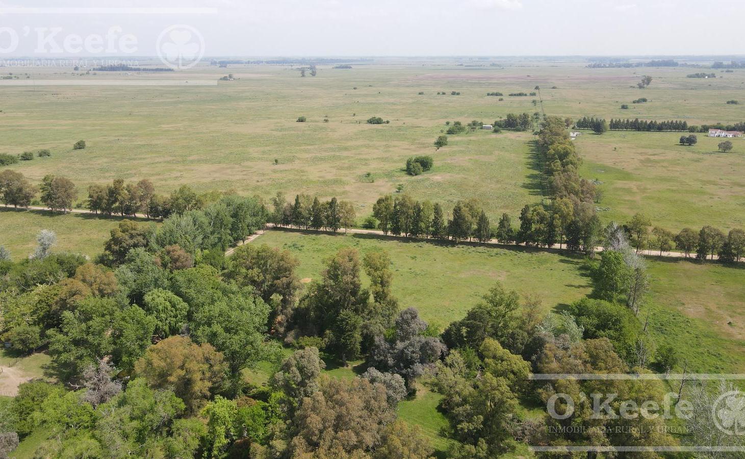 Foto de CAMPO 126 HAS CERCA DE RUTA 215 - PRODUCTIVO Y DISFRUTE - LA PLATA, imagen 5