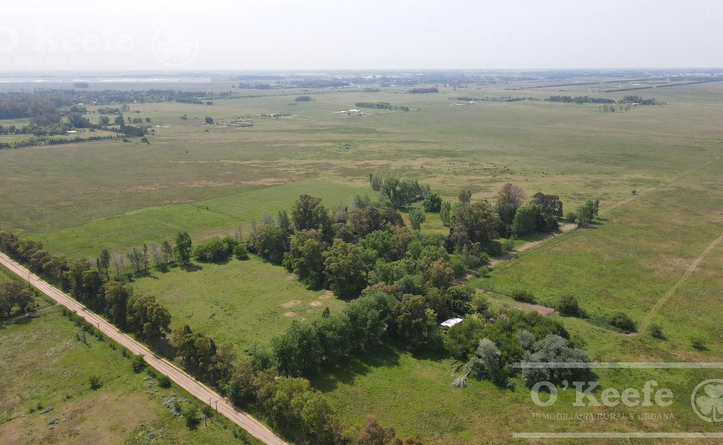 Foto de CAMPO 126 HAS CERCA DE RUTA 215 - PRODUCTIVO Y DISFRUTE - LA PLATA, imagen 3