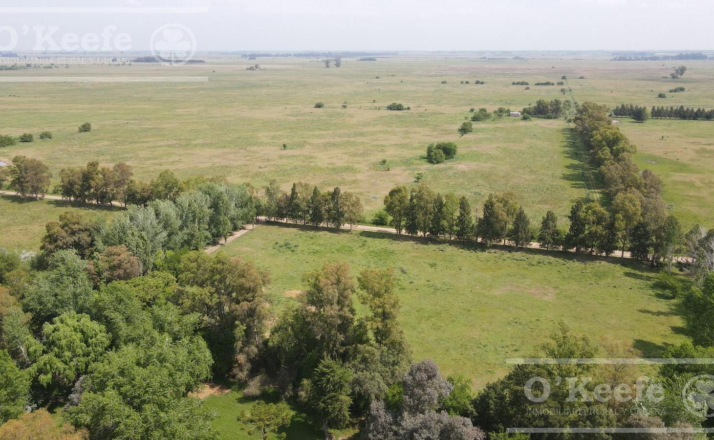 CAMPO 126 HAS CERCA DE RUTA 215 - PRODUCTIVO Y DISFRUTE - LA PLATA