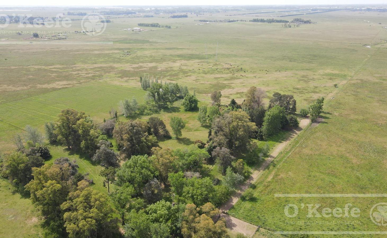Foto de CAMPO 126 HAS CERCA DE RUTA 215 - PRODUCTIVO Y DISFRUTE - LA PLATA, imagen 1