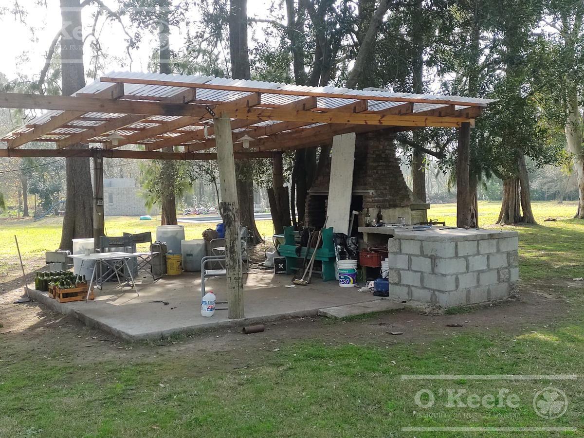 Foto de CASA EN VENTA EN EL PATO- BERAZATEGUI, imagen 3
