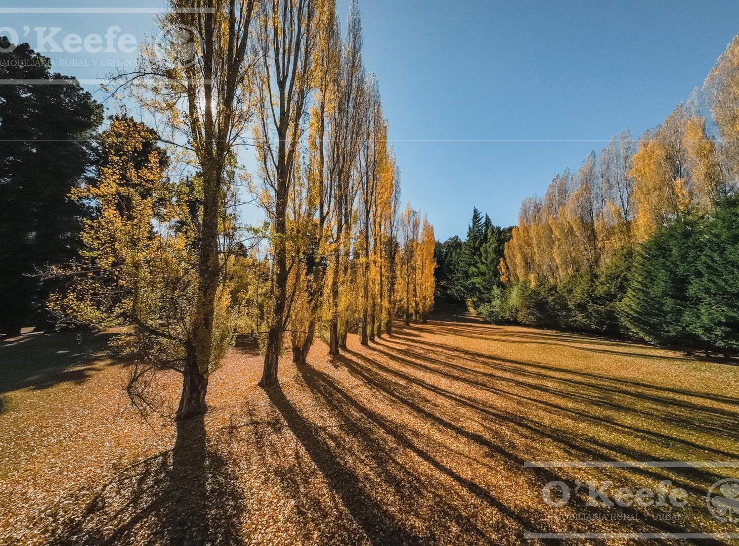 Departamento 4 ambientes en venta en km14 Bariloche