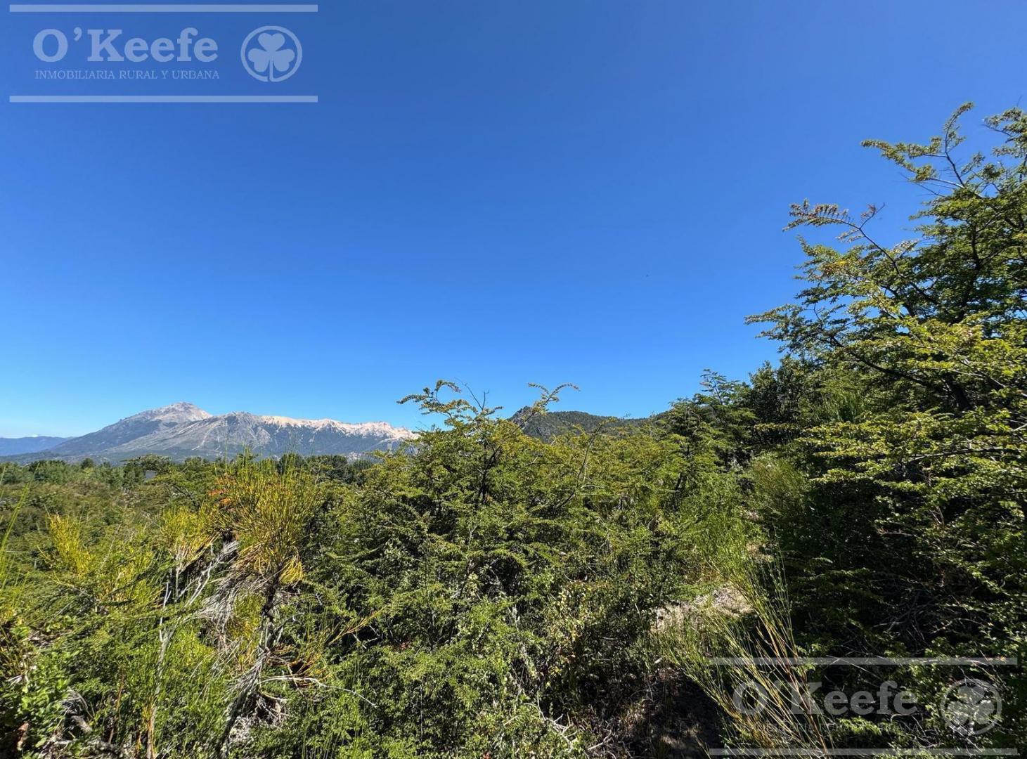 Lote en venta en Arelauquen Golf Bariloche 80B 7