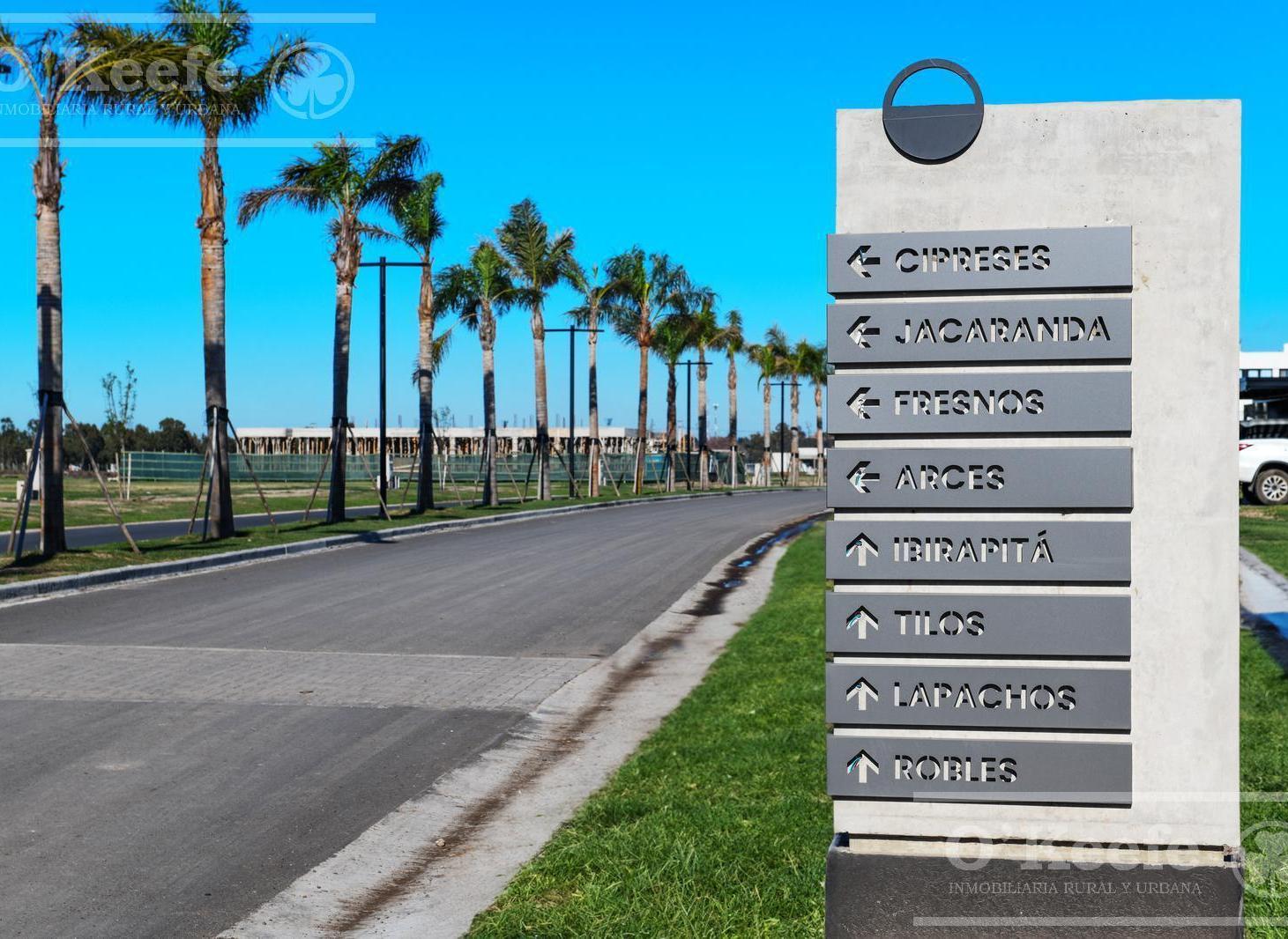 Foto de Lote Central en venta de 903 metros en Puerto Nizuc - Oportunidad de, imagen 5