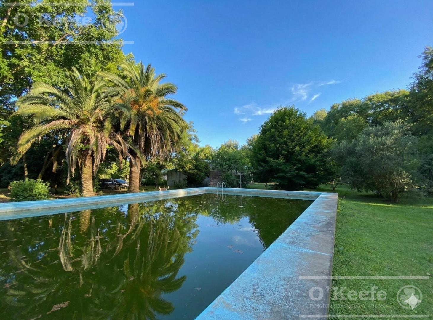 Foto de Casa Quinta en venta sobre 5 lotes con pileta 7.200mts - Brandsen, imagen 3