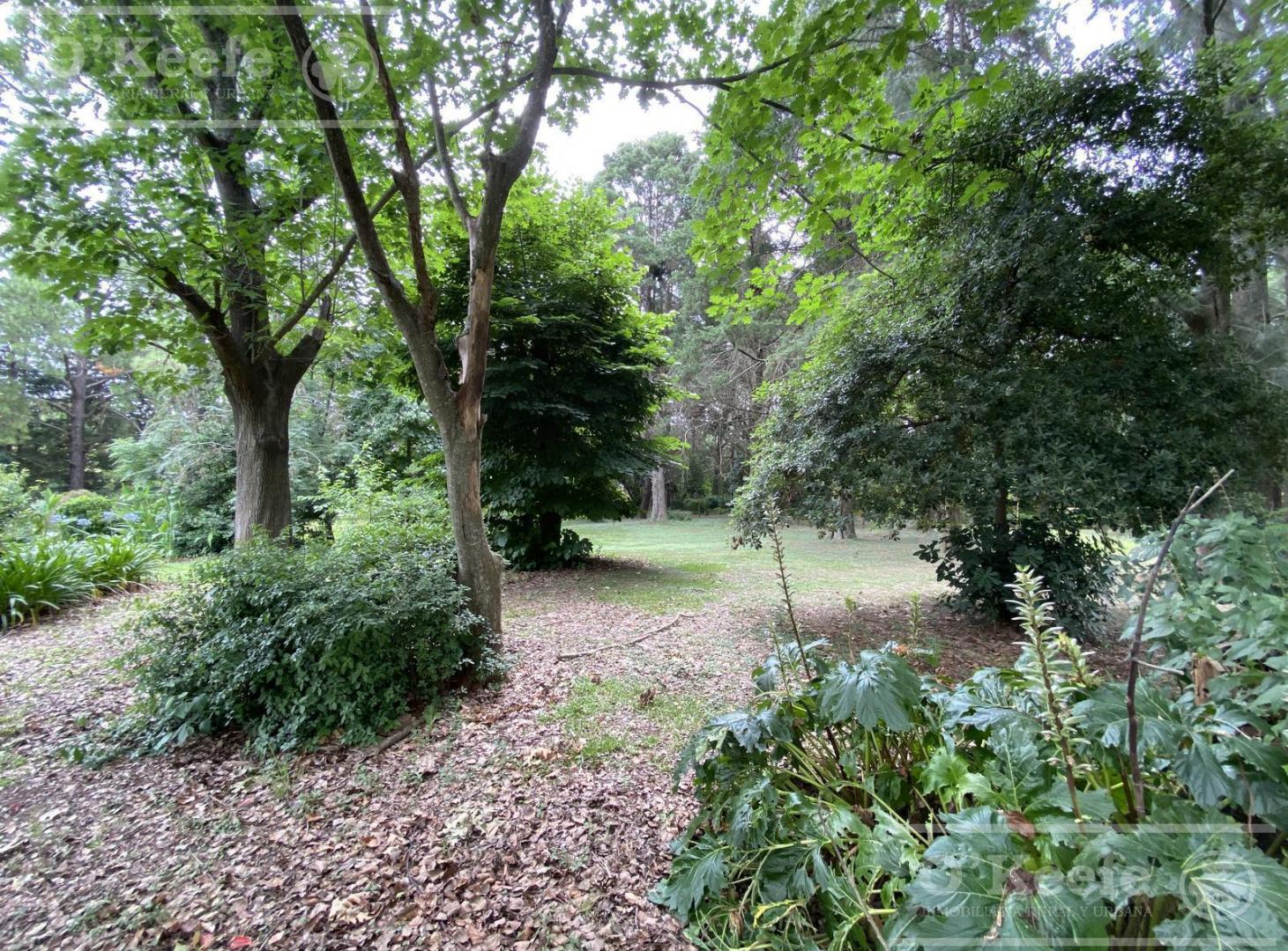 Foto de Casa Quinta en venta sobre 5 lotes con pileta 7.200mts - Brandsen, imagen 5