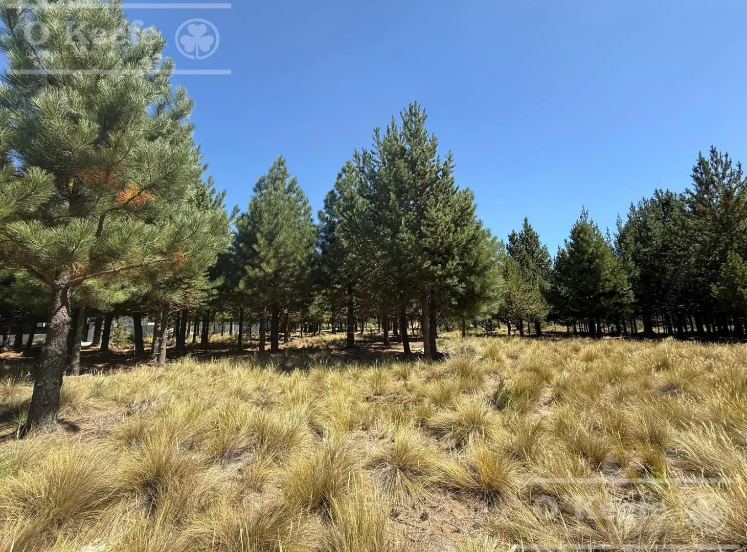 Lote plano en Dos Valle 2