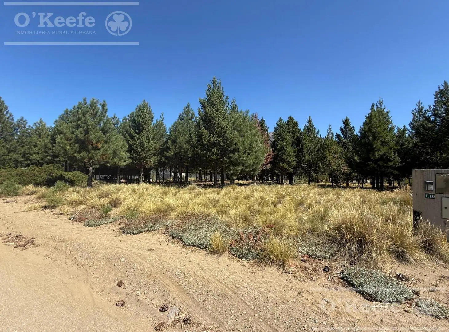 Lote plano en Dos Valle 5