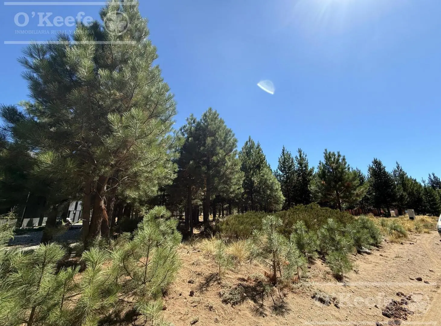 Lote plano en Dos Valle 4