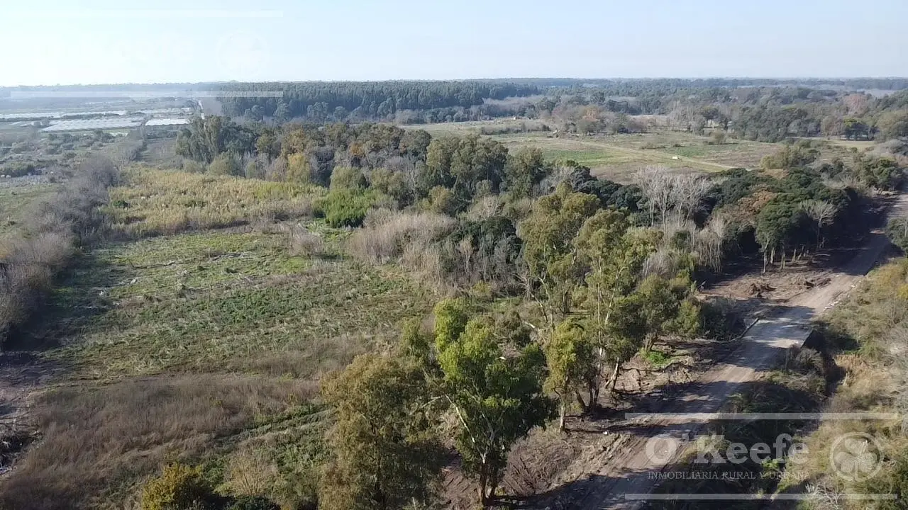 Lote en Pozo Barrio Tierra de Robles El Pato Berazategui 5