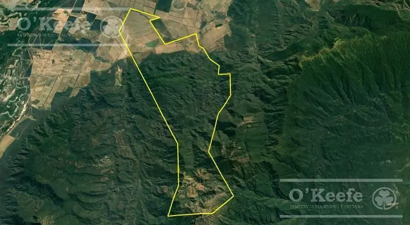 Campo mas Reserva Privada  en venta de 6300 has  en Gral Guemes ,Salta(Facilidades y Permutas) 2