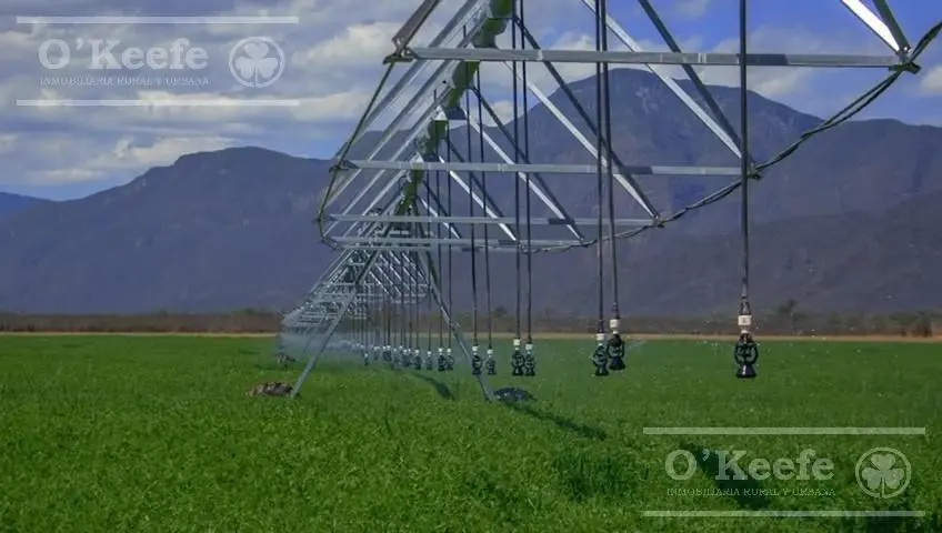 Campo mas Reserva Privada  en venta de 6300 has  en Gral Guemes ,Salta(Facilidades y Permutas) 5
