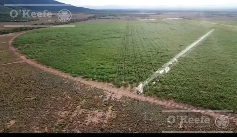 Campo mas Reserva Privada  en venta de 6300 has  en Gral Guemes ,Salta(Facilidades y Permutas) 4