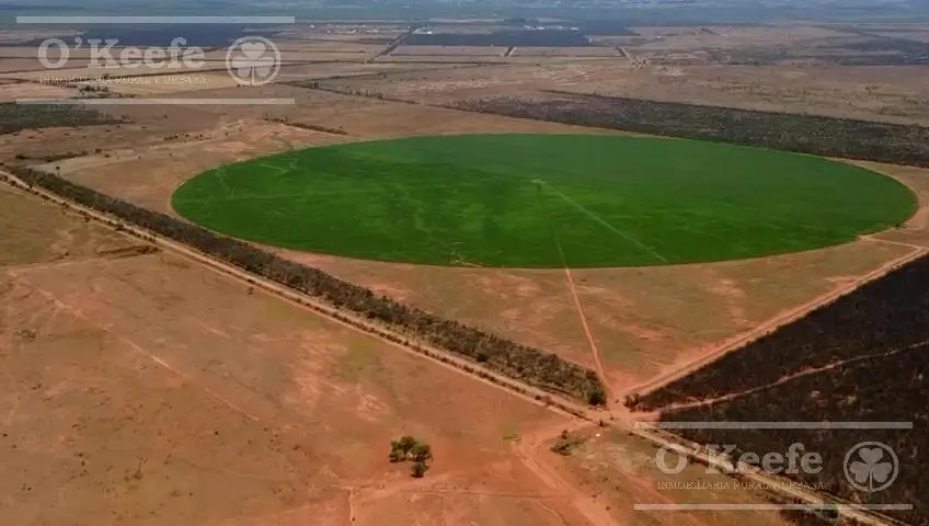 Campo mas Reserva Privada  en venta de 6300 has  en Gral Guemes ,Salta(Facilidades y Permutas) 3