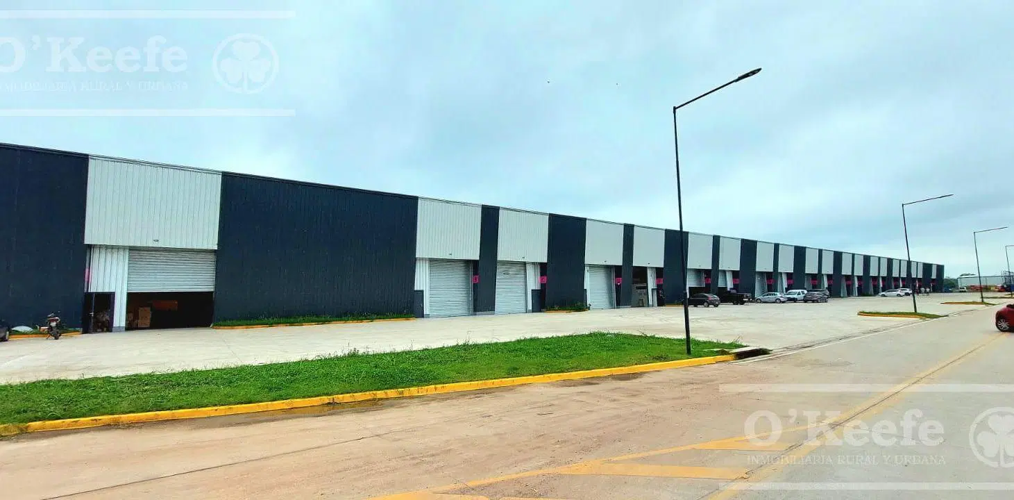 ALQUILER - Naves Industriales Modulares - Desde 440m2 - Canning (Ezeiza) 5