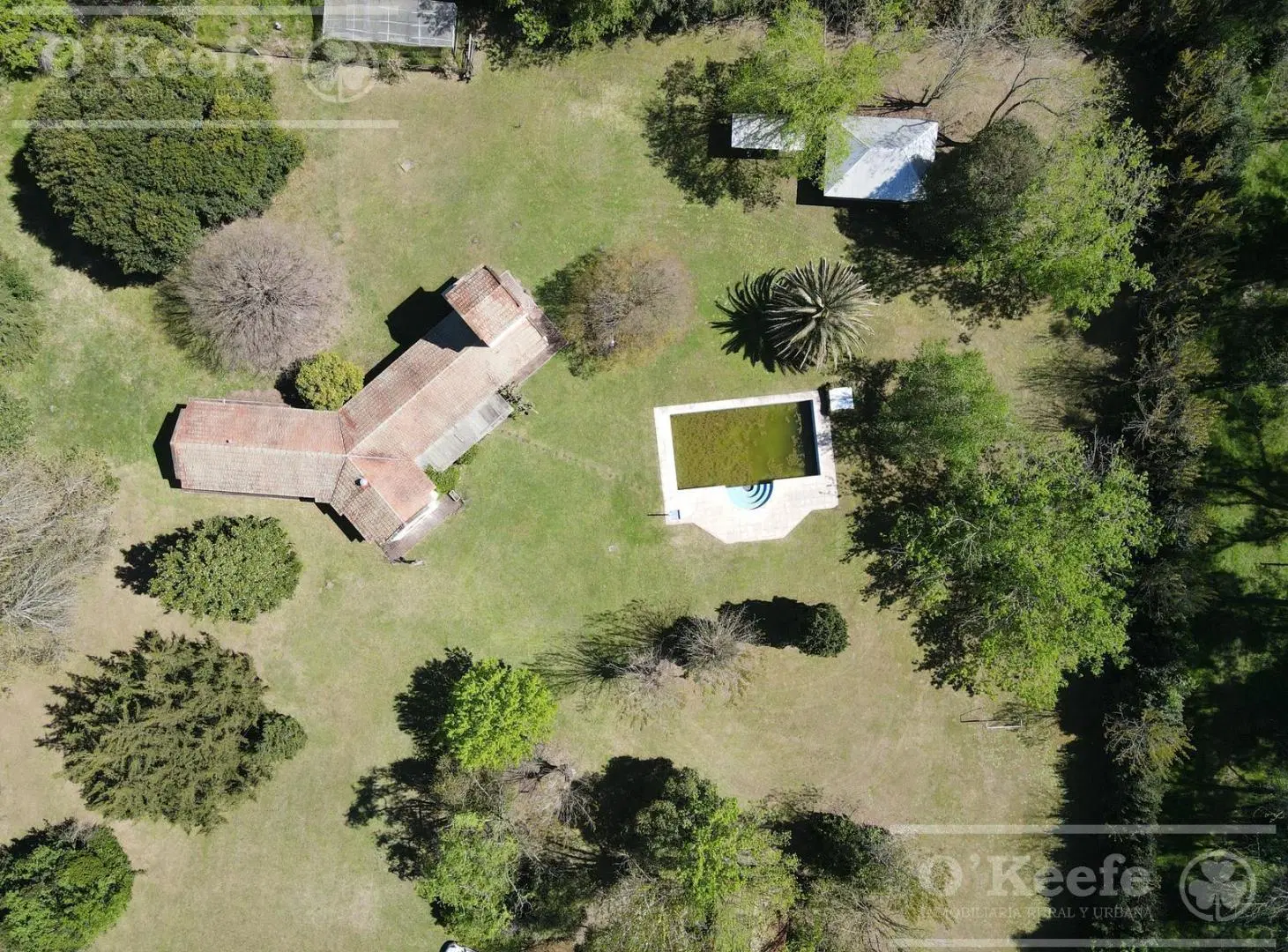 Casa Quinta en El Pato sobre 1 HA - Escritura inmediata 3