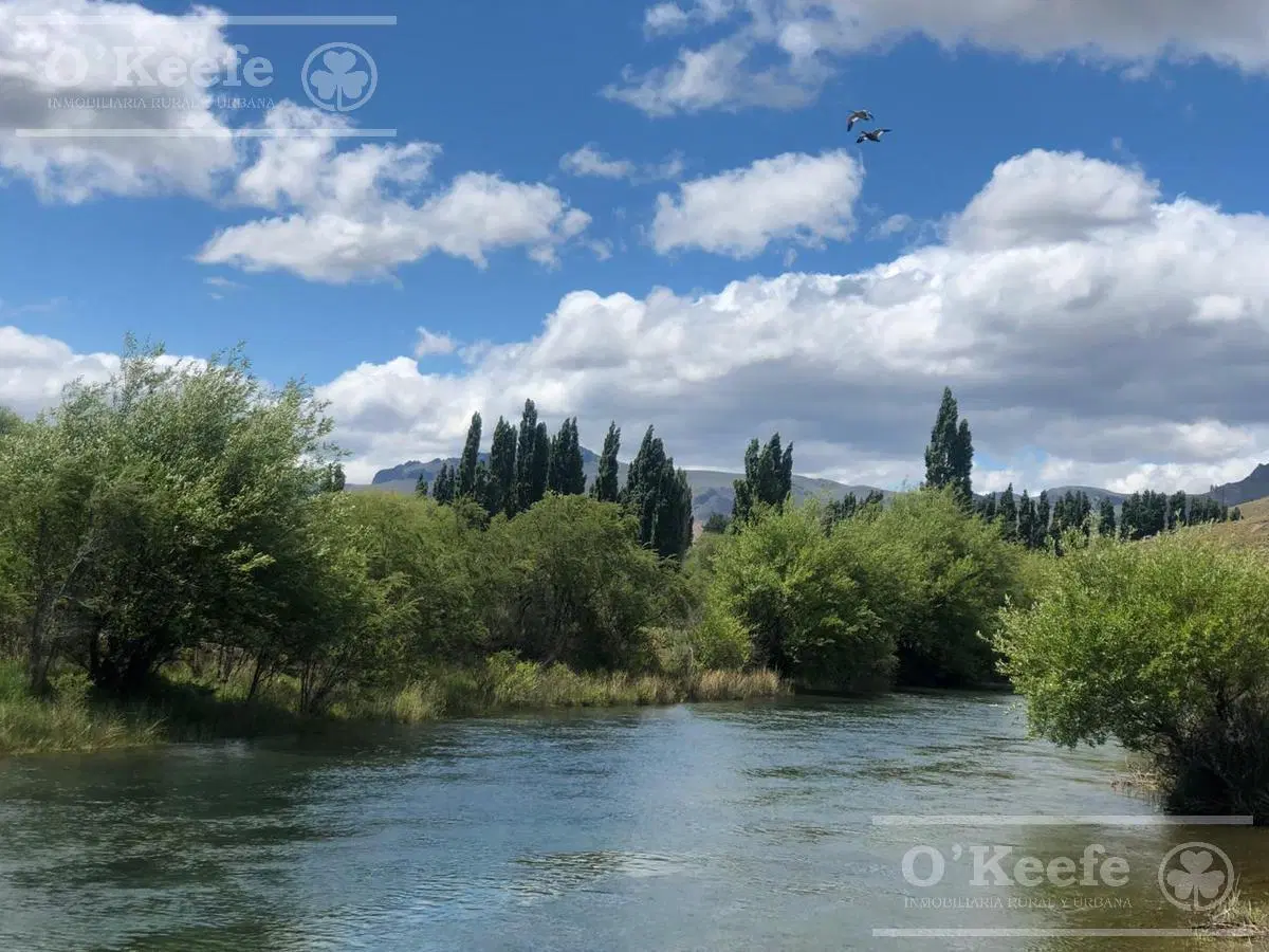 Chacra en venta sobre el Río Limay  a 1 hora de San Carlos de Bariloche Patagonia Argentina 4