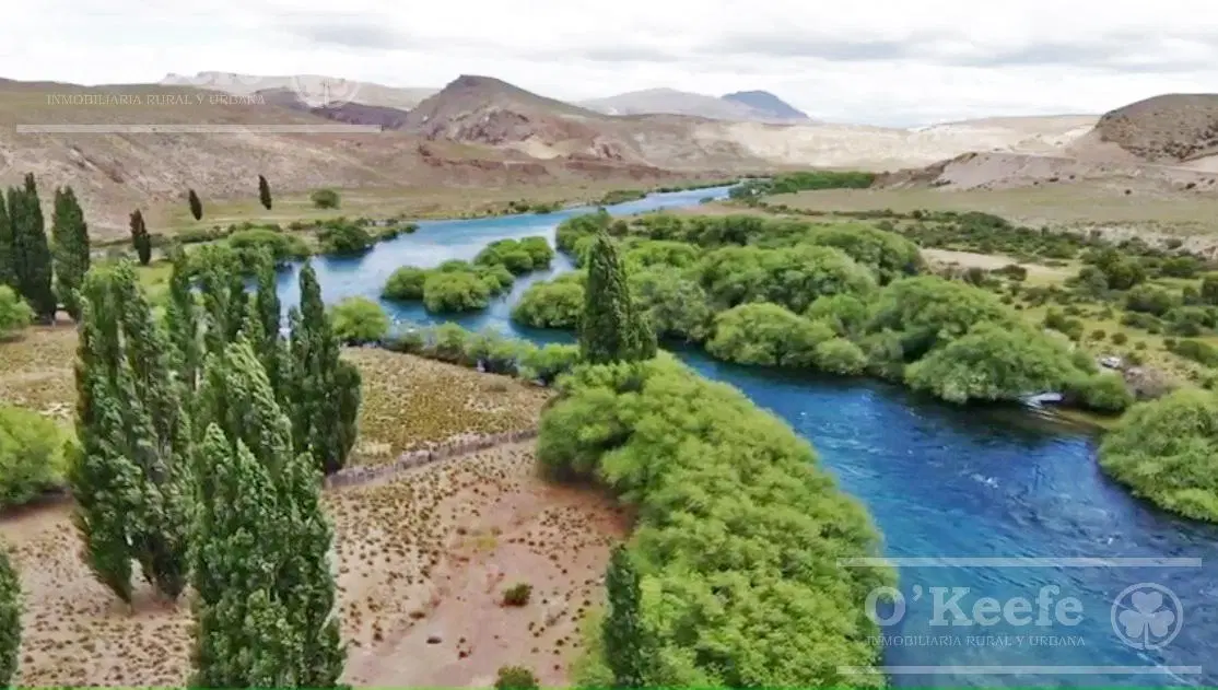 Chacra en venta sobre el Río Limay  a 1 hora de San Carlos de Bariloche Patagonia Argentina 2