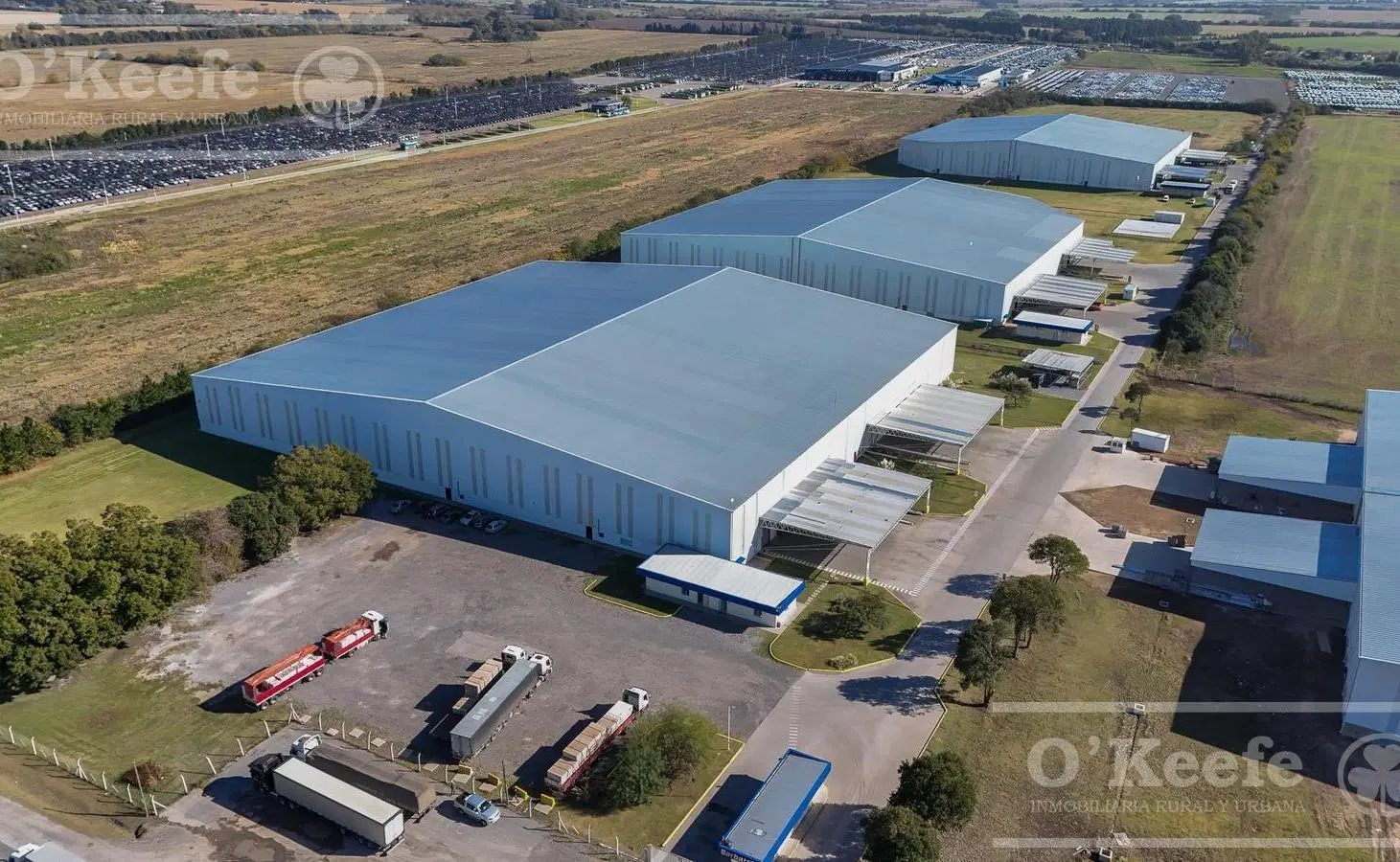 ALQUILER - NAVE INDUSTRIAL 11.500 M2 Con Oficinas - Centro Logístico Zarate 3