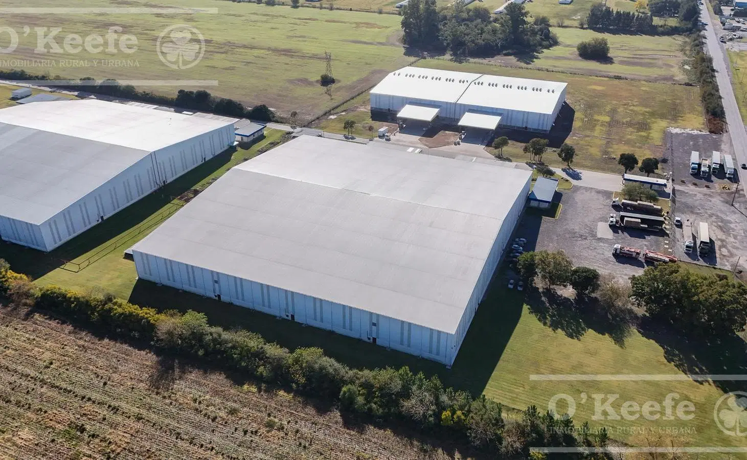 ALQUILER - NAVE INDUSTRIAL 11.500 M2 Con Oficinas - Centro Logístico Zarate 4