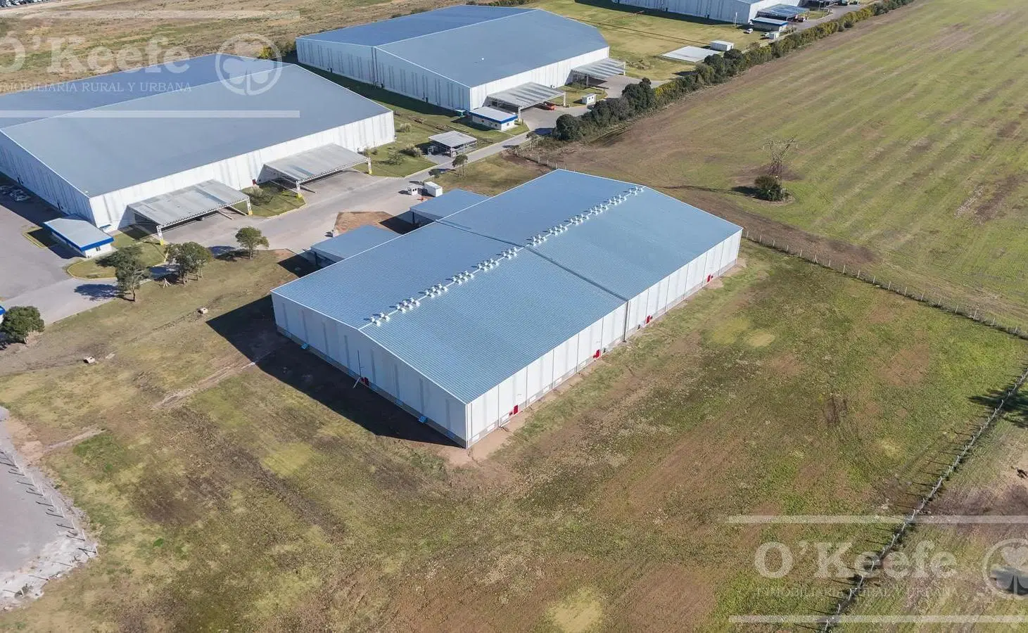 ALQUILER - NAVE INDUSTRIAL 3.000 M2 - Centro Logístico Zarate 5