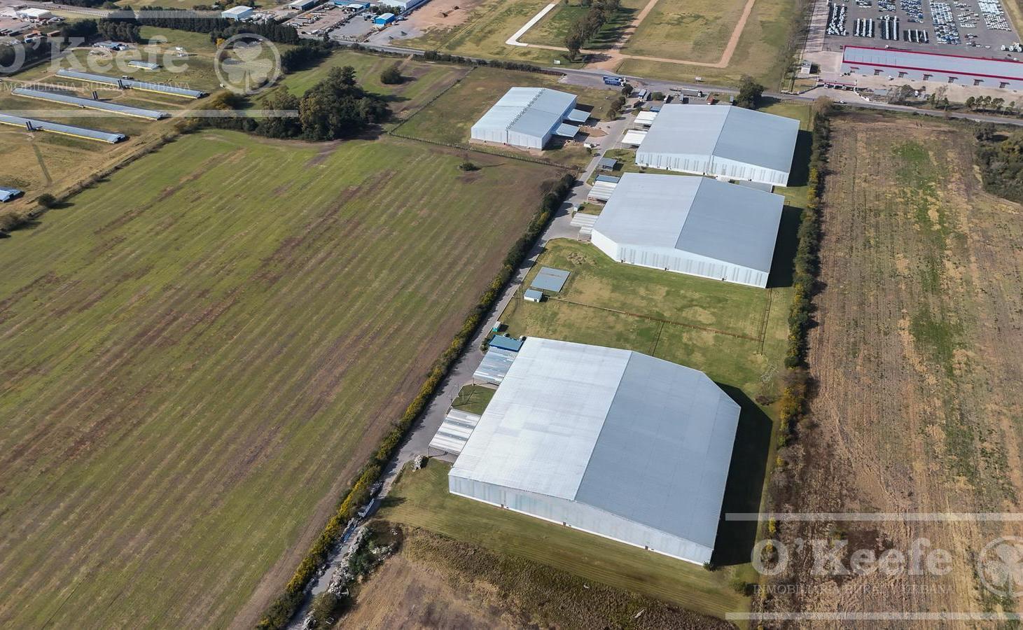 Foto de ALQUILER - NAVE INDUSTRIAL 3.000 M2 - Centro Logístico Zarate, imagen 1