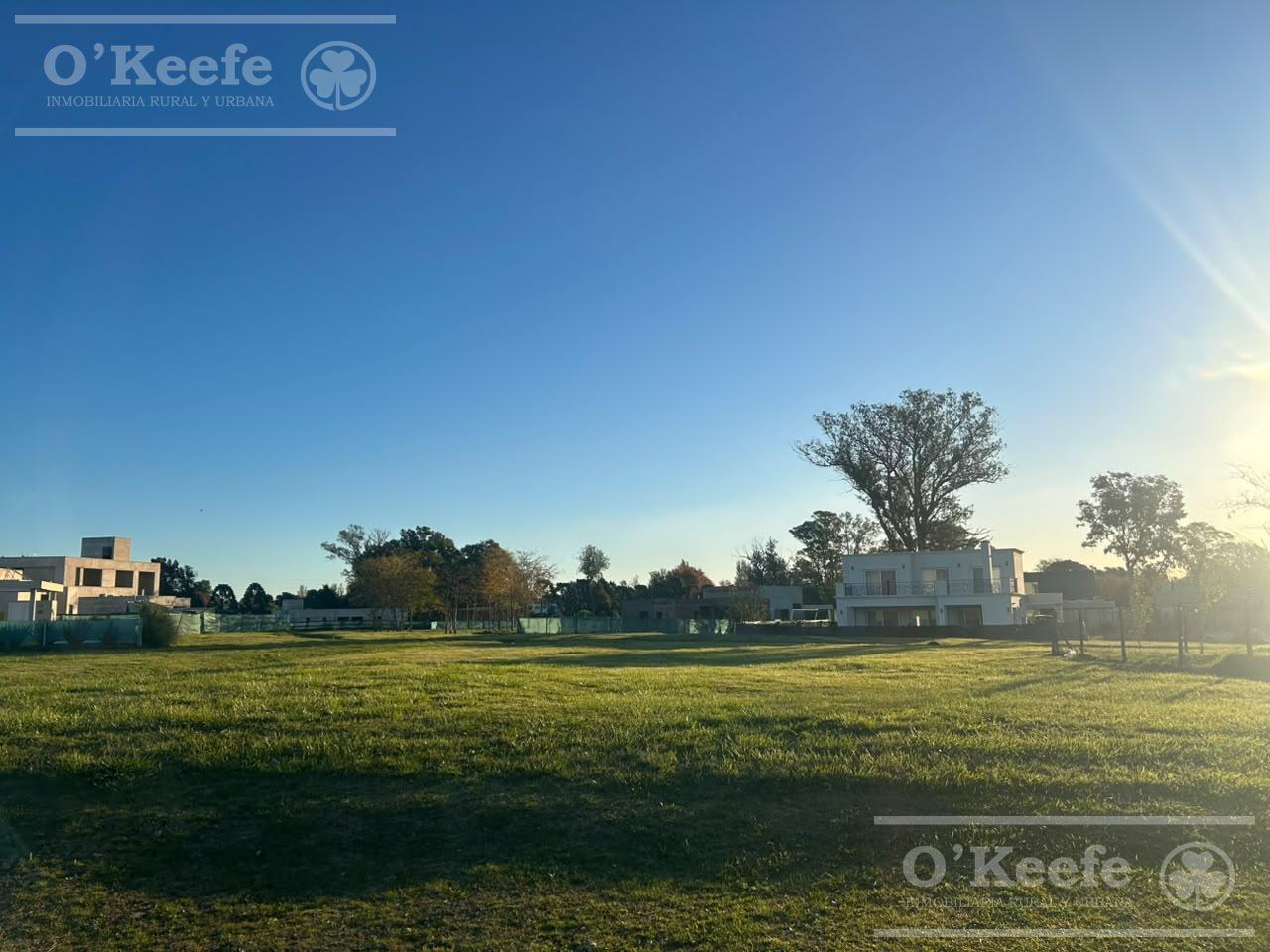 Excelente Lote en San Juan Chico FONDO VERDE- UN SOLO VECINO