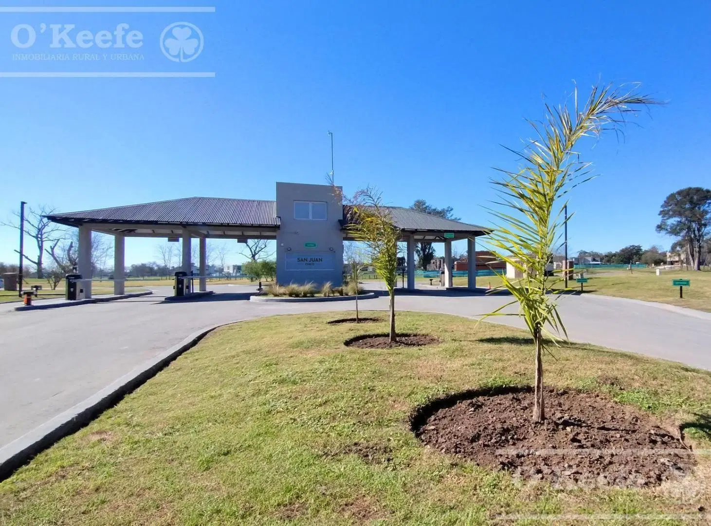 Excelente Lote en San Juan Chico FONDO VERDE- UN SOLO VECINO 8