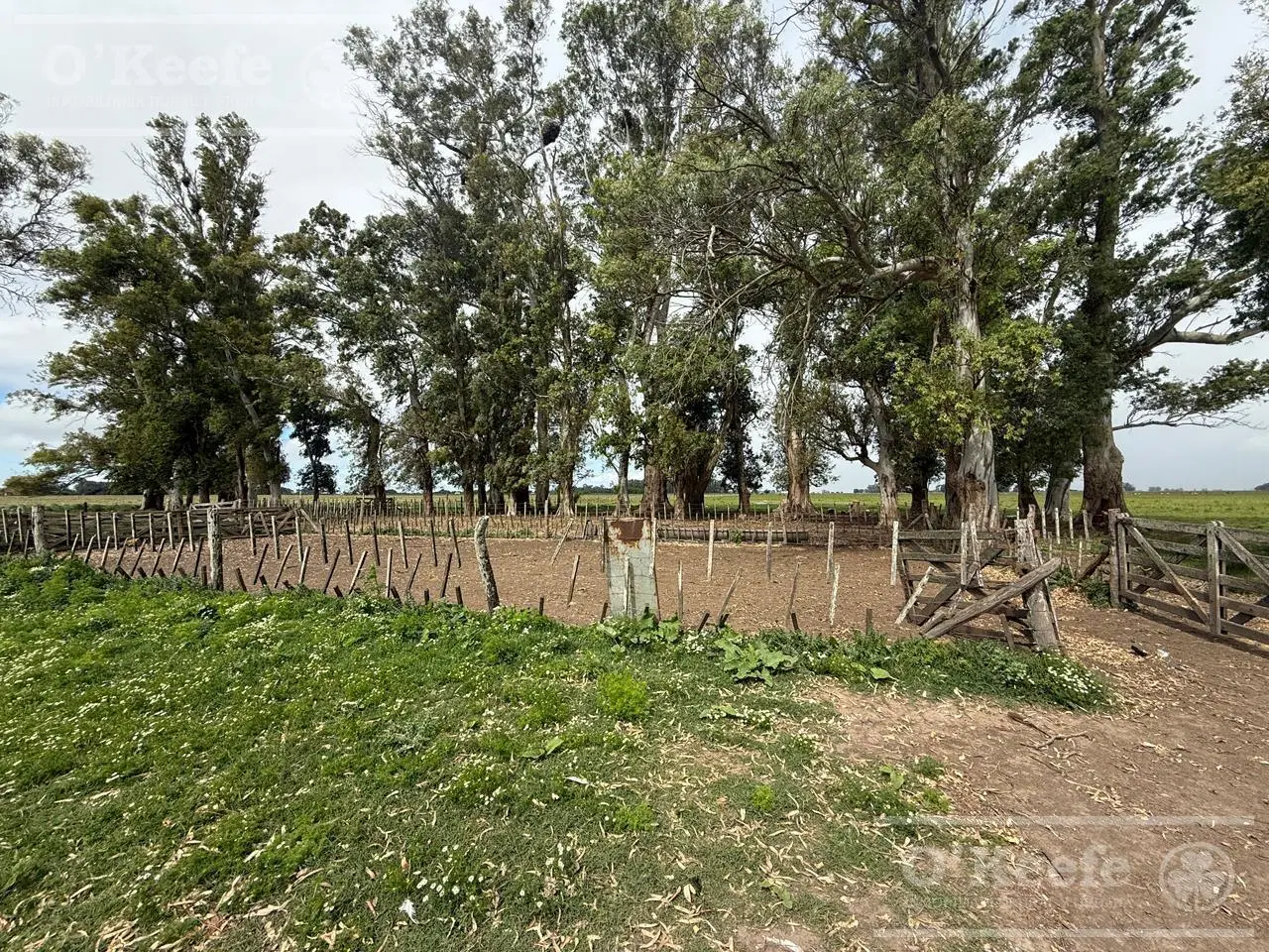 Campo en venta de 450 has en Magdalena 5