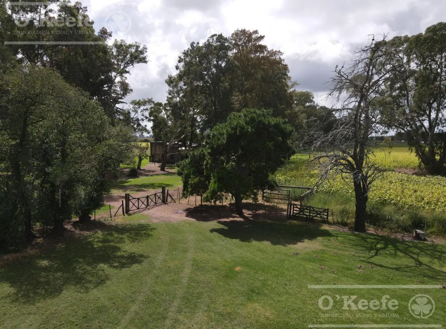 Campo Agricola de 55 has con estupendas mejoras en  San Miguel del Monte 4