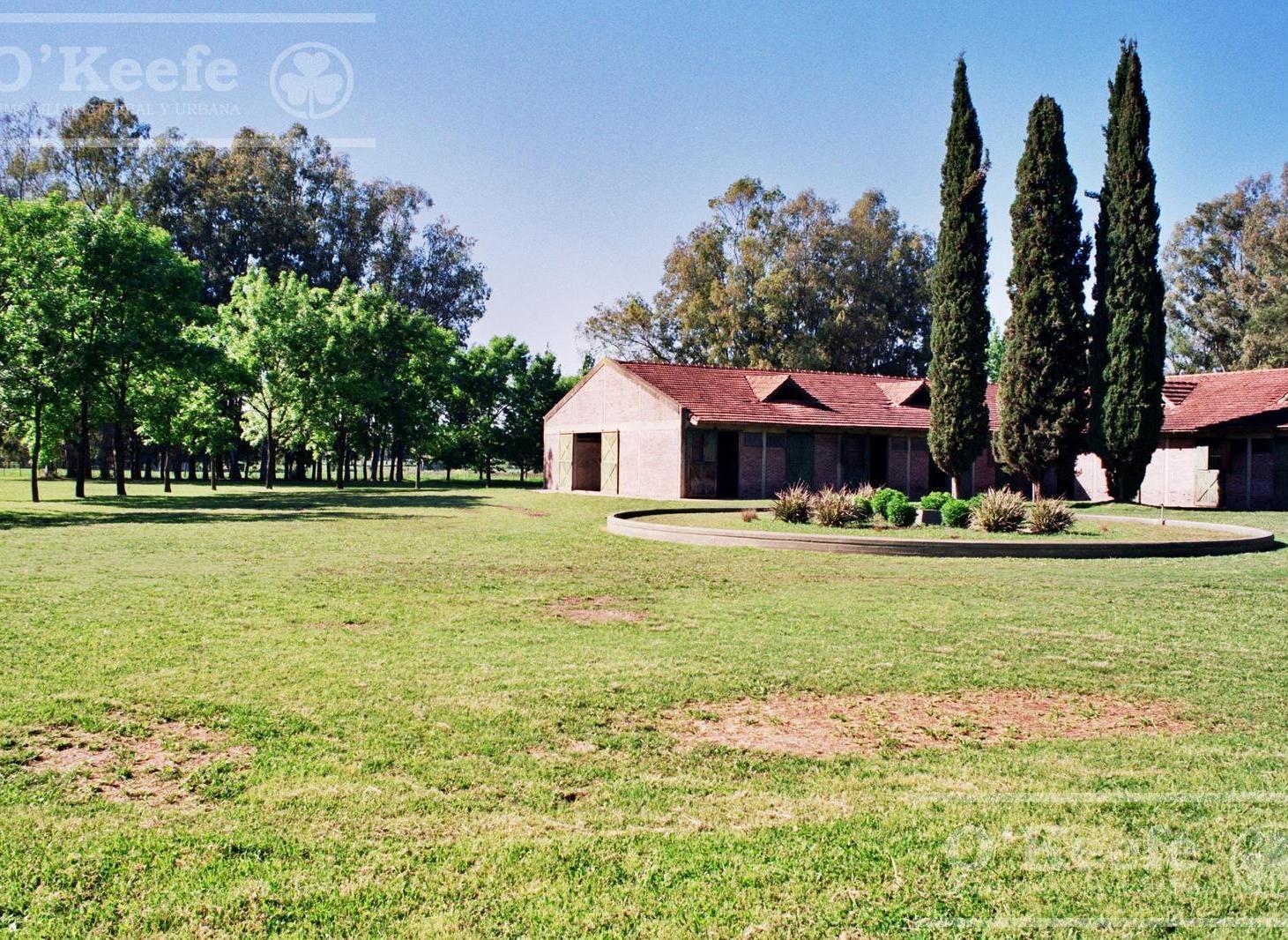 Campo en venta de 118 has en Exaltacion de la Cruz